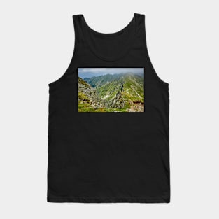 Mountaineous summer landscape Tank Top